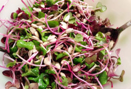 Salată de ridichi microgreen