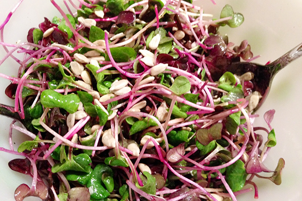 Salată de ridichi microgreen