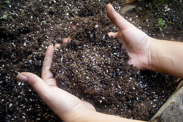 Gleba z nawozami mineralnymi