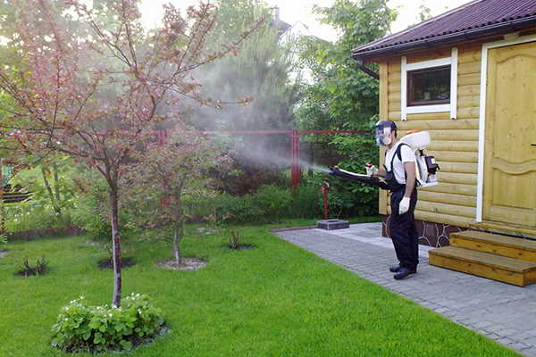 Appelbomen sproeien op het terrein