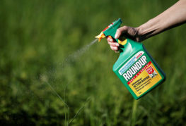 Spraya gräs med herbicid