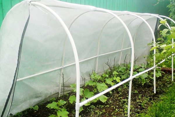 Växthus för gurkor med en ram gjord av plaströr
