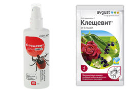 Опции за опаковане на лекарството Kleschevit