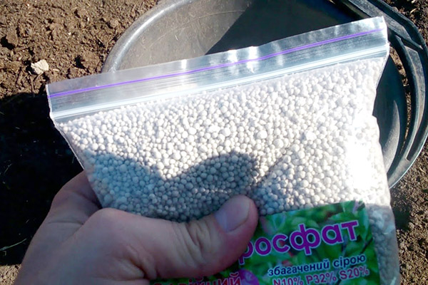 Superfosfāts augsnes uzklāšanai dārzā