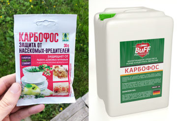 Insecticide Karbofos