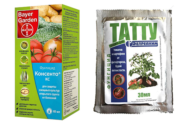 Fungicides Consento dan Tattu